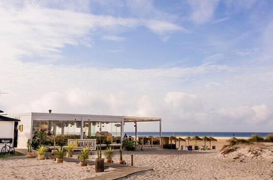 Lxr Waikiki Beach Front 3Hab. Tarifa Dış mekan fotoğraf